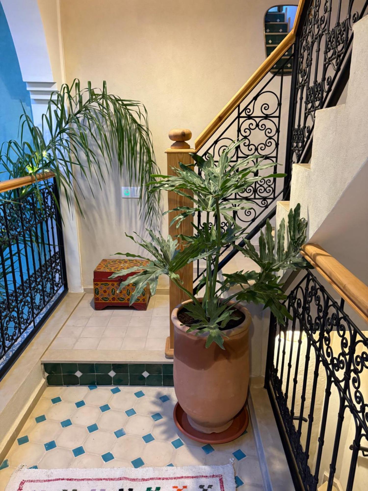 Riad212 Private Medina Fast Wi-Fi Plunge Pool Марракеш Экстерьер фото